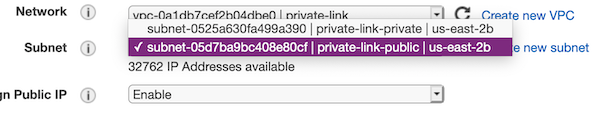 select the subnet named private-link-public from the dropdown